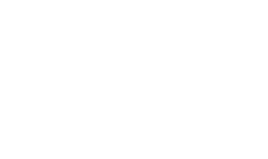 PROJECT101